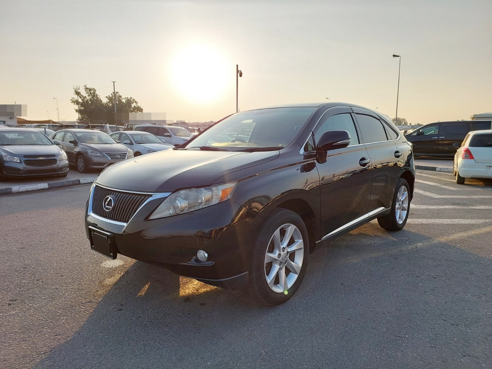 LEXUS RX